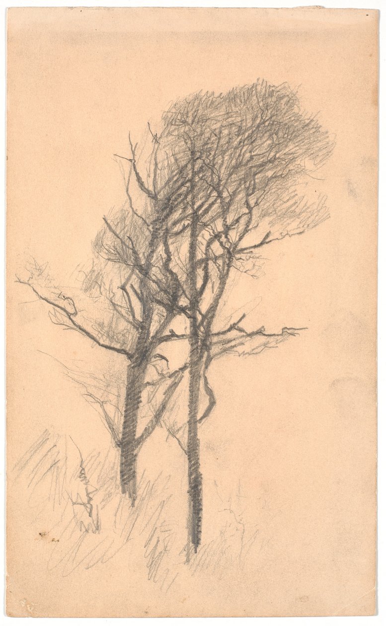 To træer med lav underskov af Laurits Andersen Ring