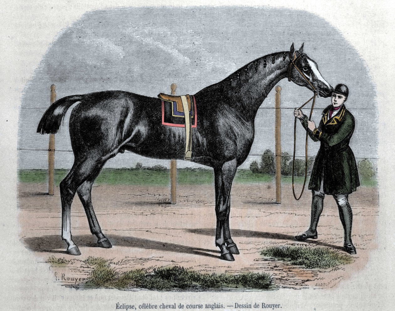 Den engelske væddeløbshest Eclipse. Illustration af Rouyer. af L. (after) Rouyer