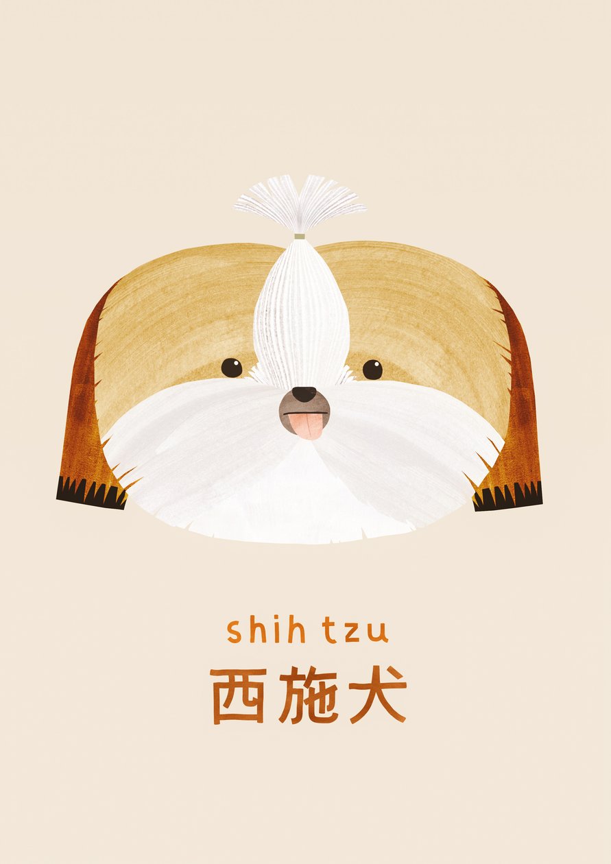 Shih tzu, 2019 af Léa Le Pivert