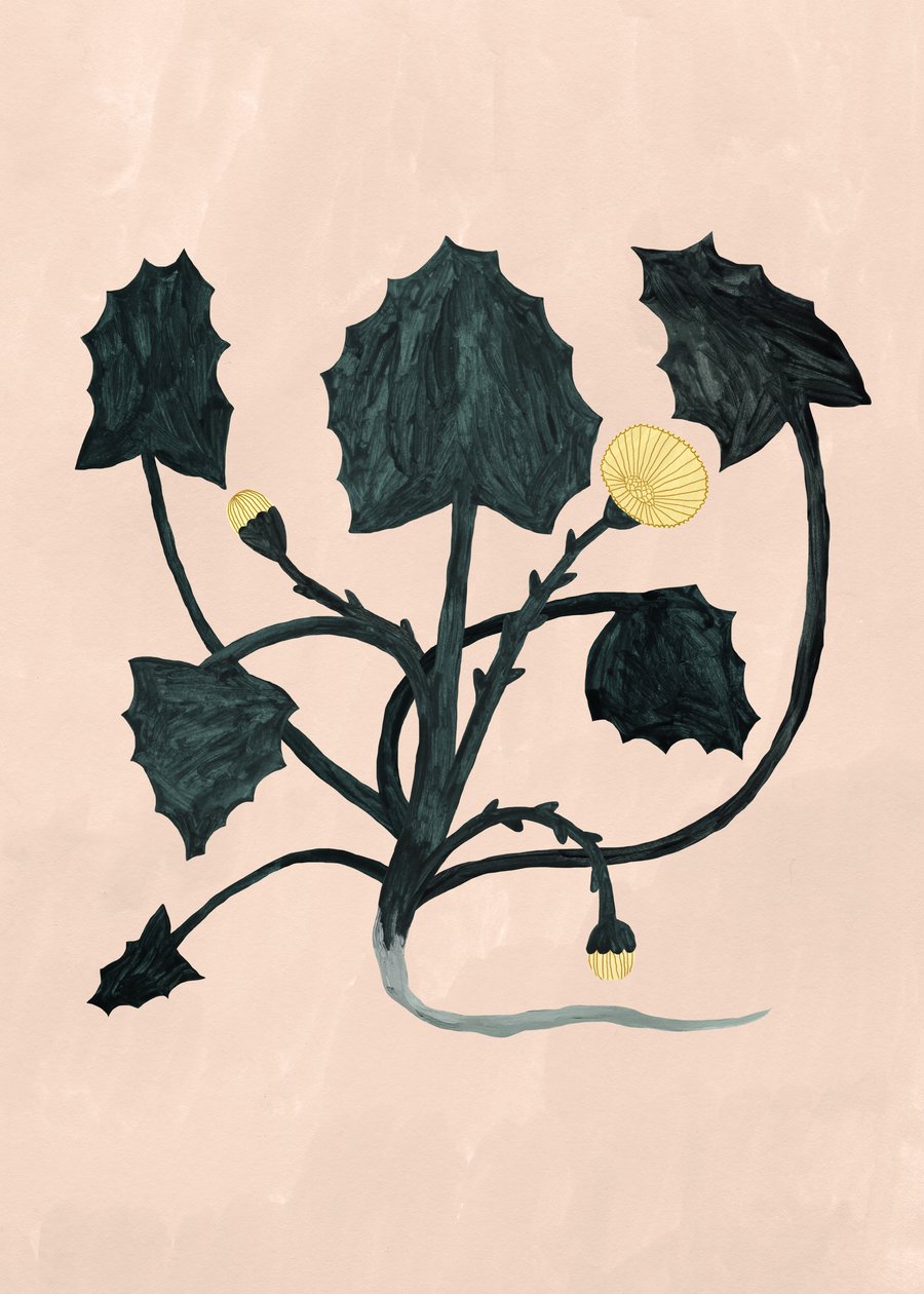Ukendt plante, 2018 af Léa Le Pivert