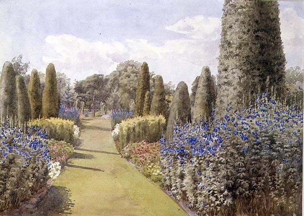 The Herbaceous Border (akvarel på papir) af Lady Alice Willoughby