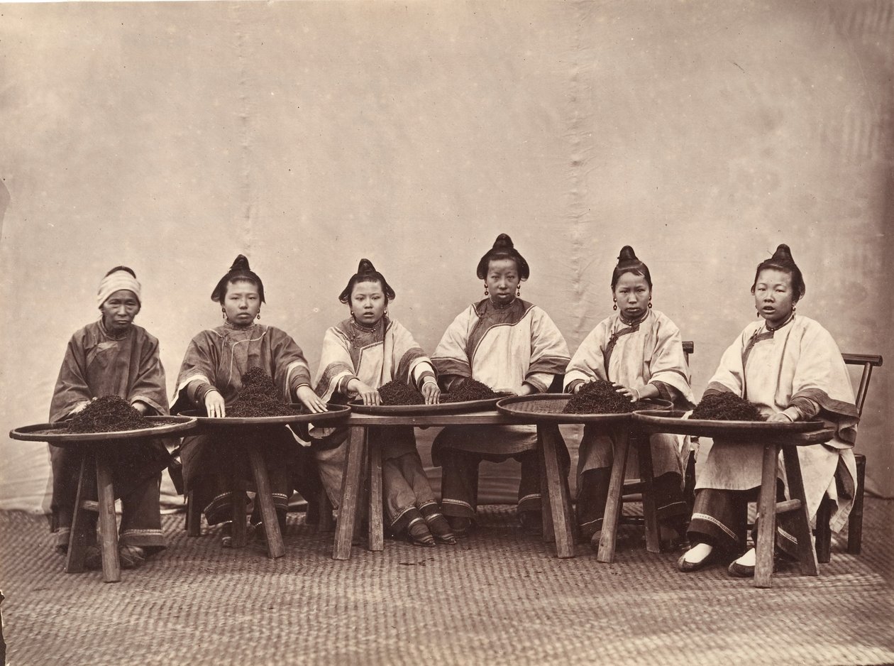 Culling Tea, ca. 1869. af Lai Fong.