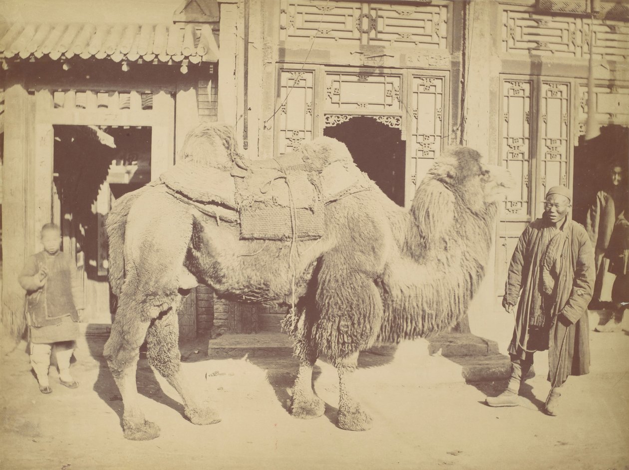 Beijing. af. 923, 1867. af Lai Fong.