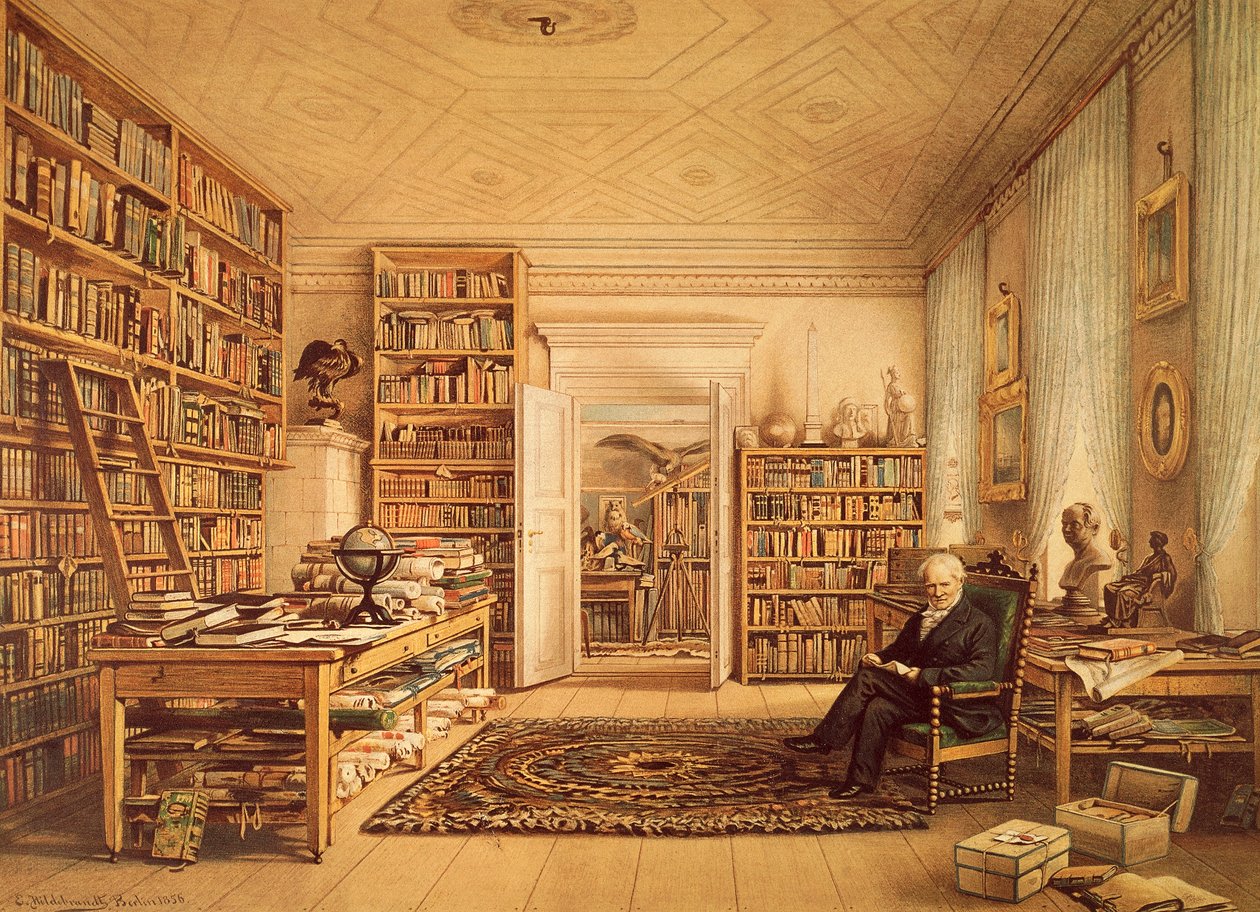 Portræt af Alexander von Humboldt (Berlin af Amadeo (after) Modigliani