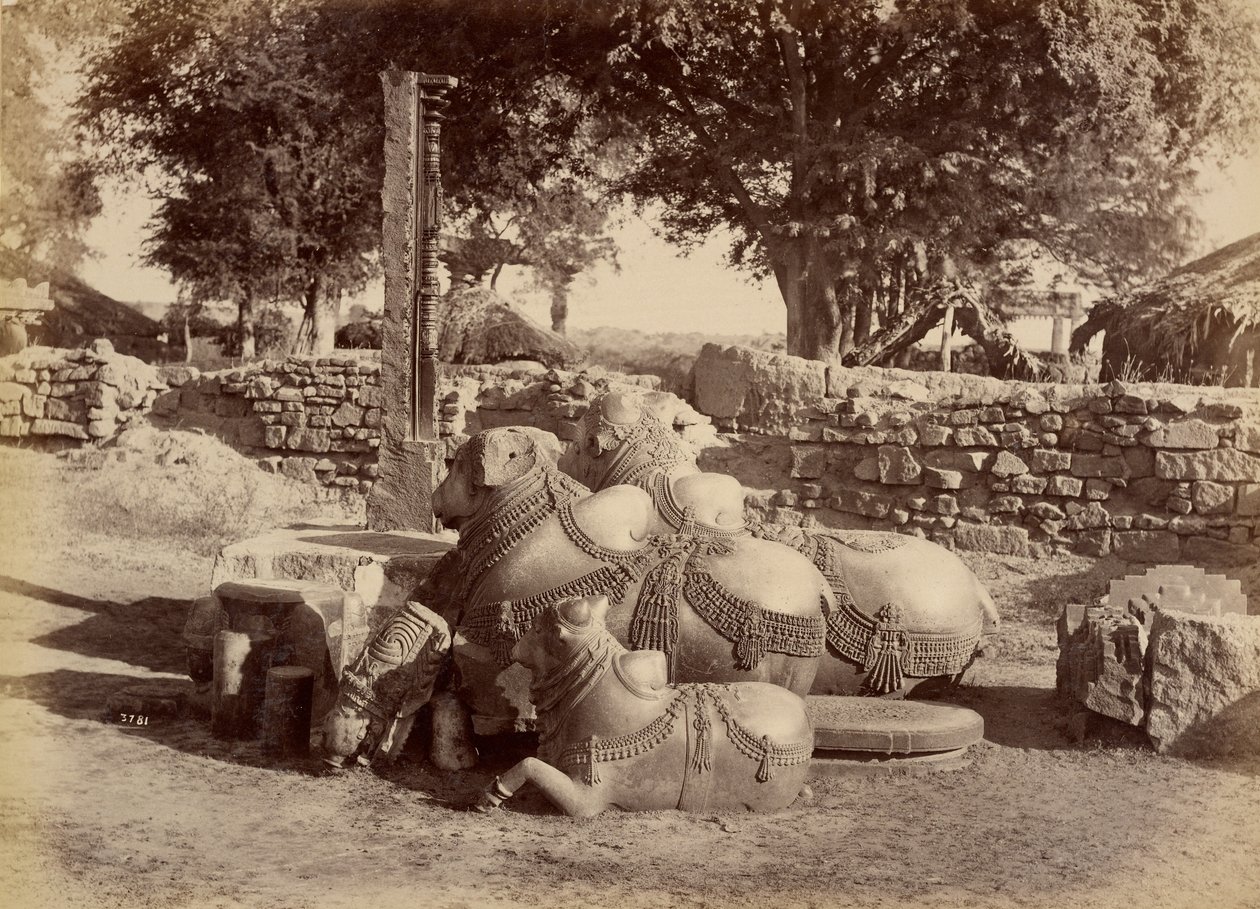 Hellige tyre i Warungal Fort af Lala Deen Dayal
