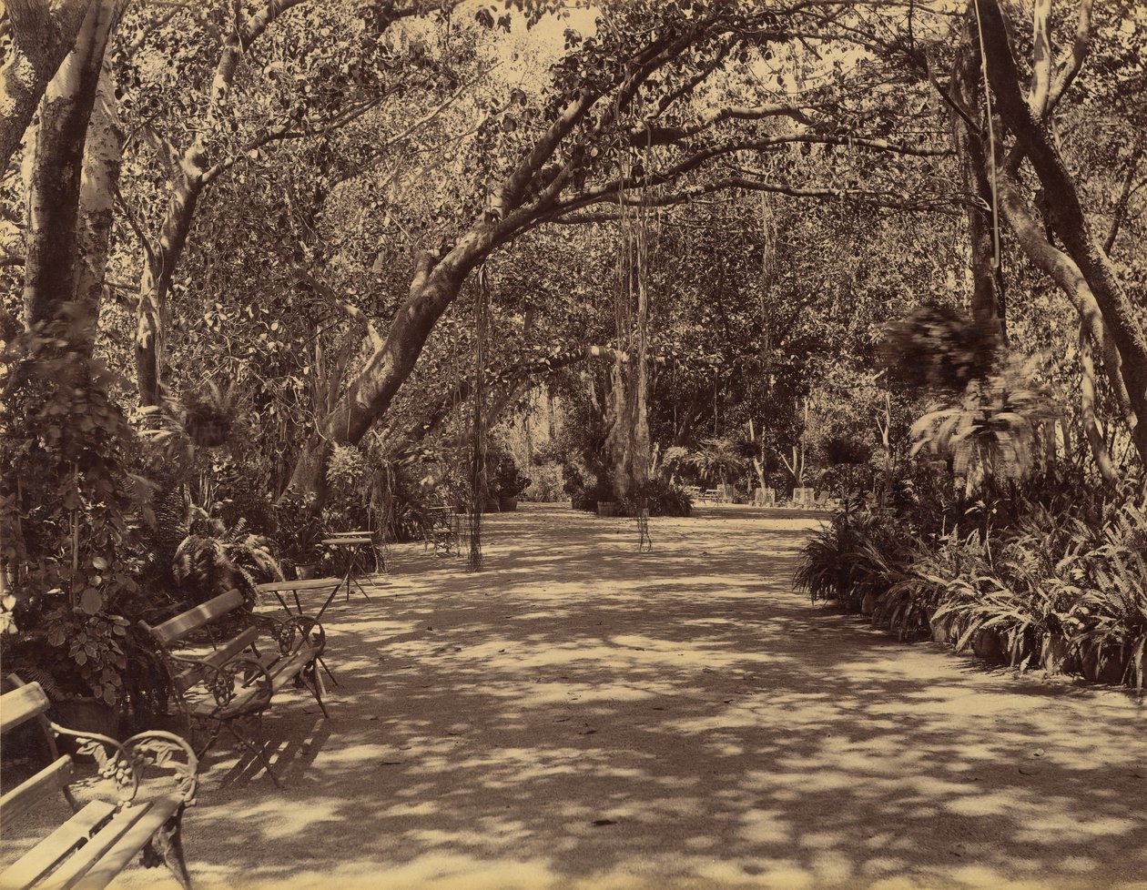Sukh-Vilas Palace Garden, 1880-90. af Lala Deen Dayal