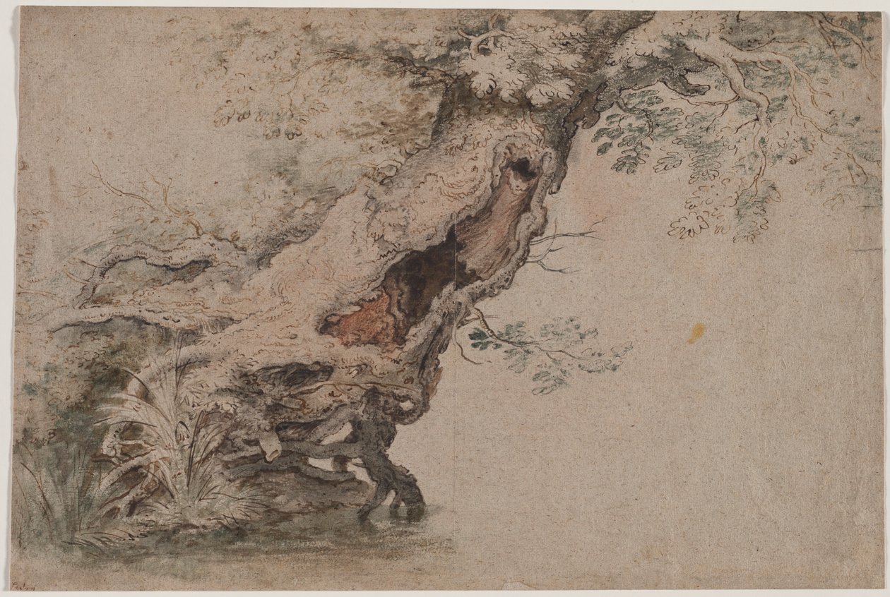 Hollow Tree, efter Roelant Savery af Lambert Doomer