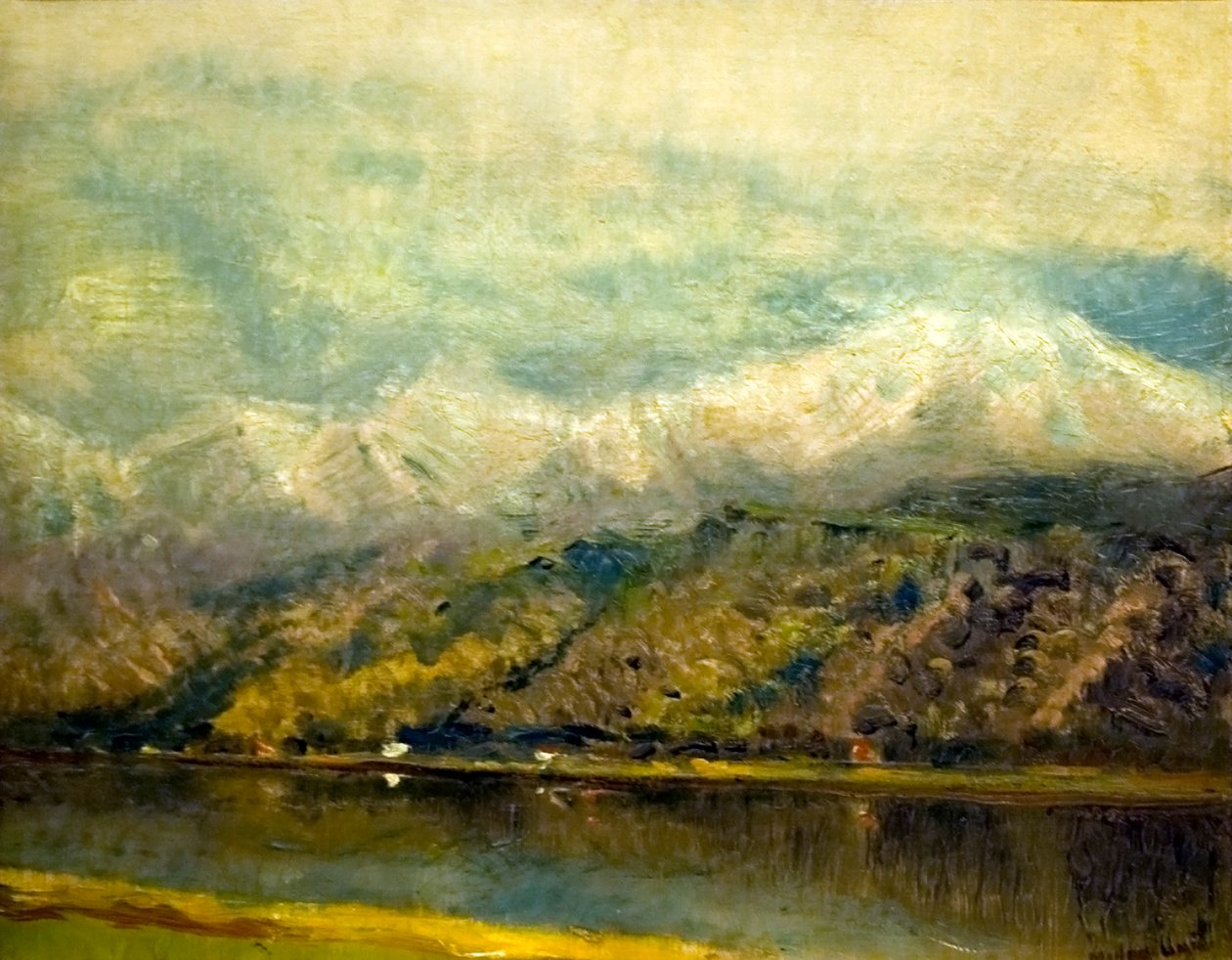  Csorba tonEnglish: Lake_Csorban af Laszlo Mednyanszky