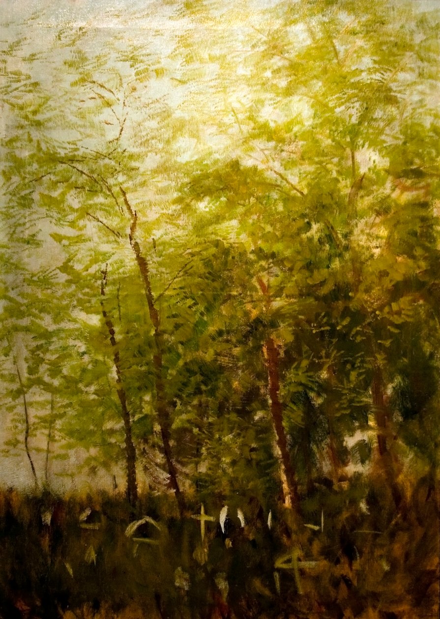 Erdoszele sirkeresztekkeln Engelsk: Fringe_of_Forest_with_Crossesn af Laszlo Mednyanszky