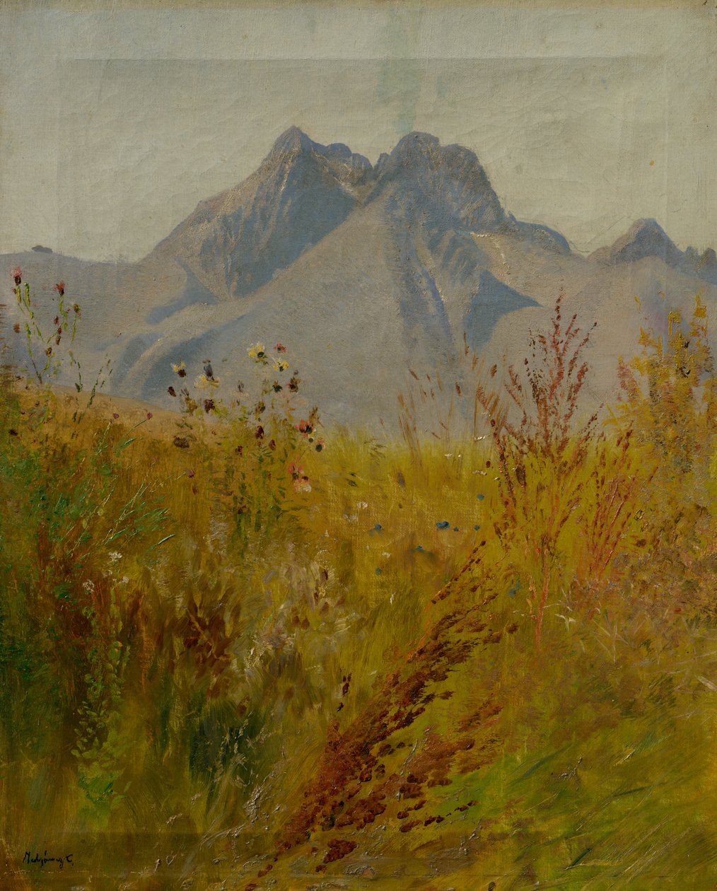 Lomnicky Peak af Laszlo Mednyanszky