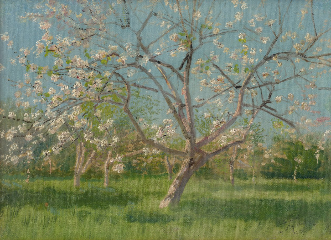 Frugthavetræer i blomst, 1900-10 af Laszlo Mednyanszky