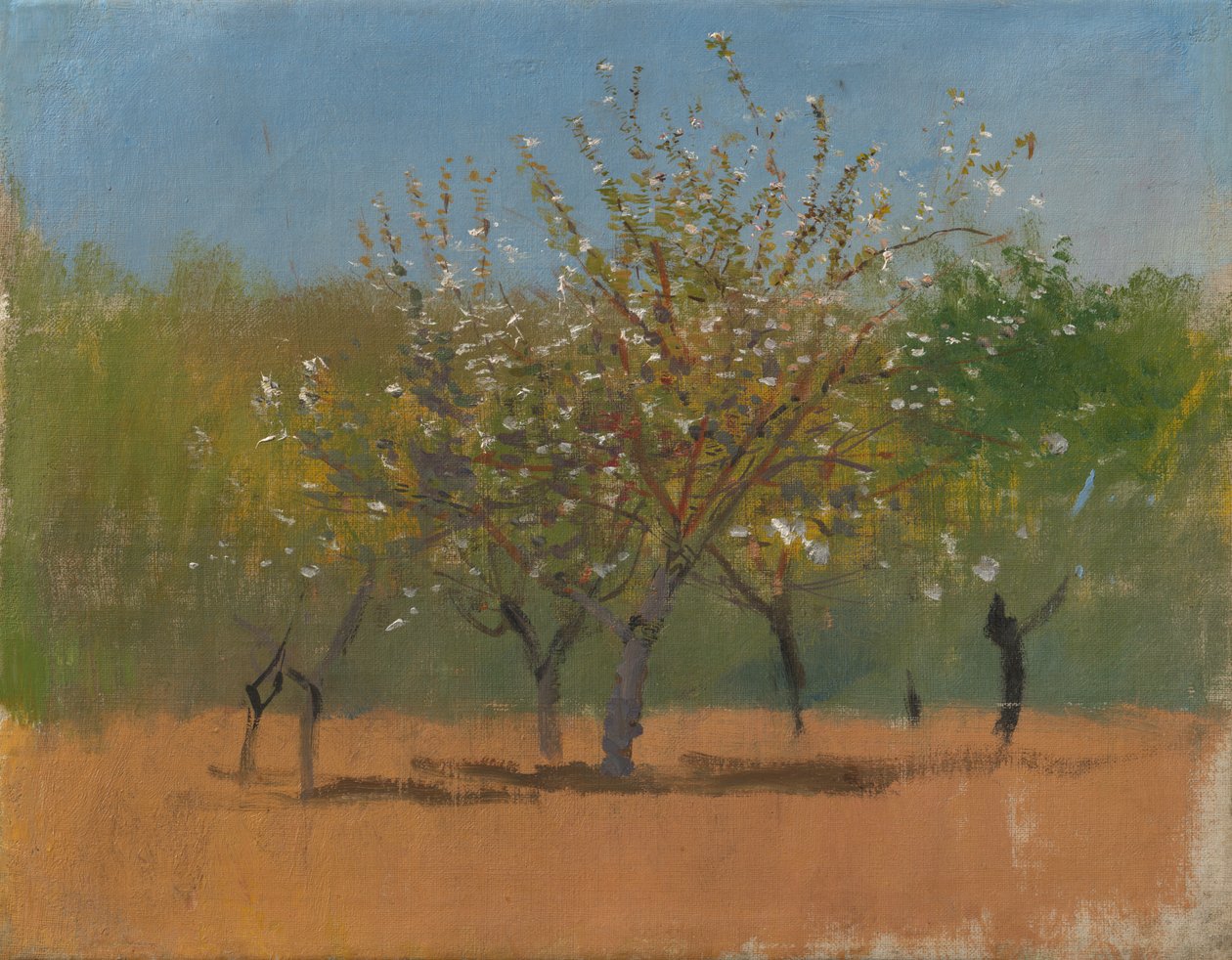 Trees in Blossom, ca. 1880-90 (olie på lærred) af Laszlo Mednyanszky