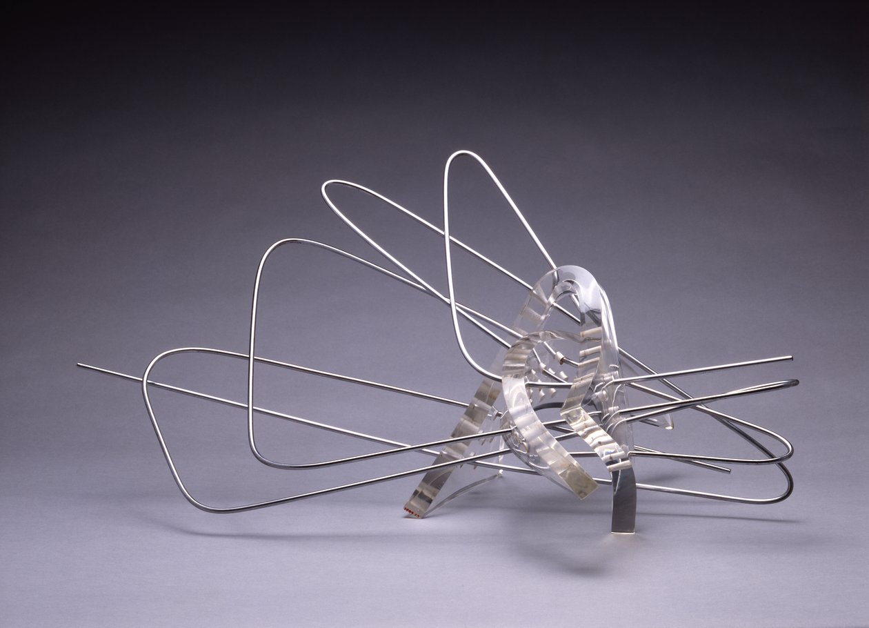 Snoede fly af Laszlo Moholy Nagy