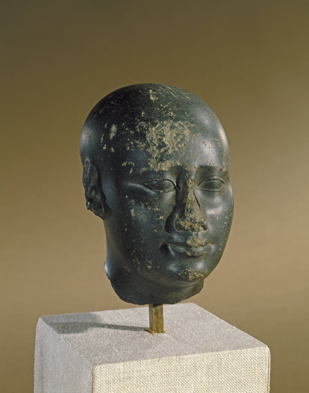 Hovedet på en mand med ægformet kranie (basalt) af Late Period Egyptian