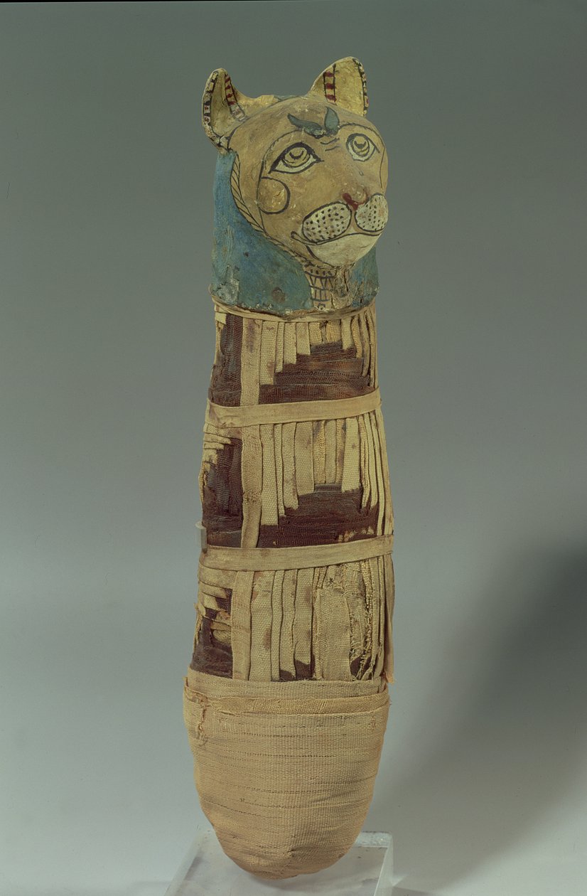 Mumificeret kat (stukket og malet linned) af Late Period Egyptian