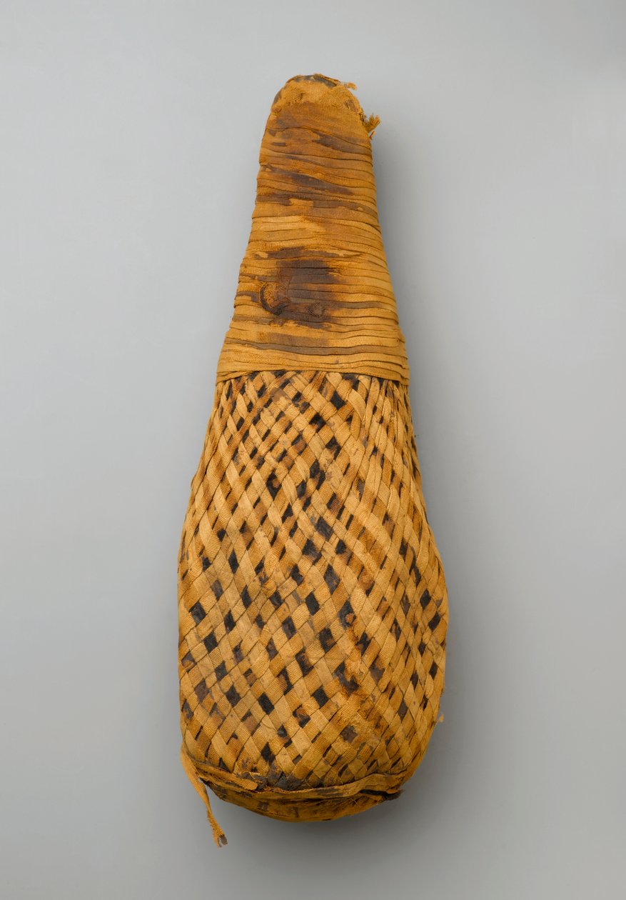 Mumie af en ibis, 664-332 f.Kr. (dyrerester og linned) af Late Period Egyptian