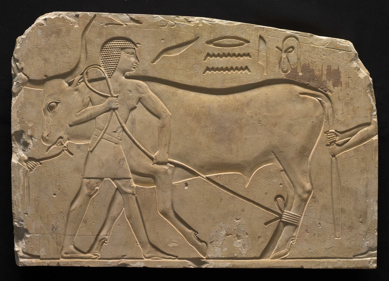 Mænd, der truer en okse, 667-647 f.Kr af Late Period Egyptian