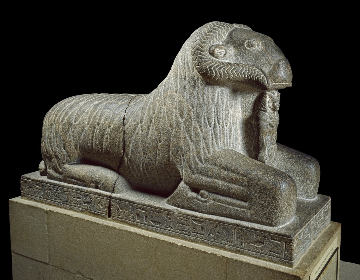 Statue af Amuns vædder, ca. 680 f.Kr. (granit) af Late Period Egyptian