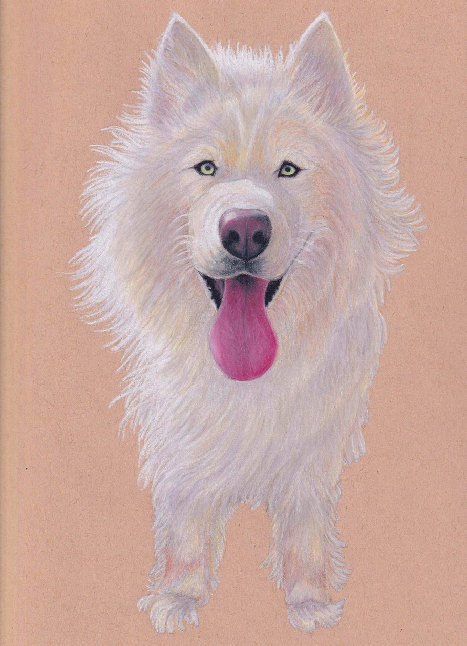 Snowky, 2021 (farveblyant på tonet papir) af Laurie Michaels