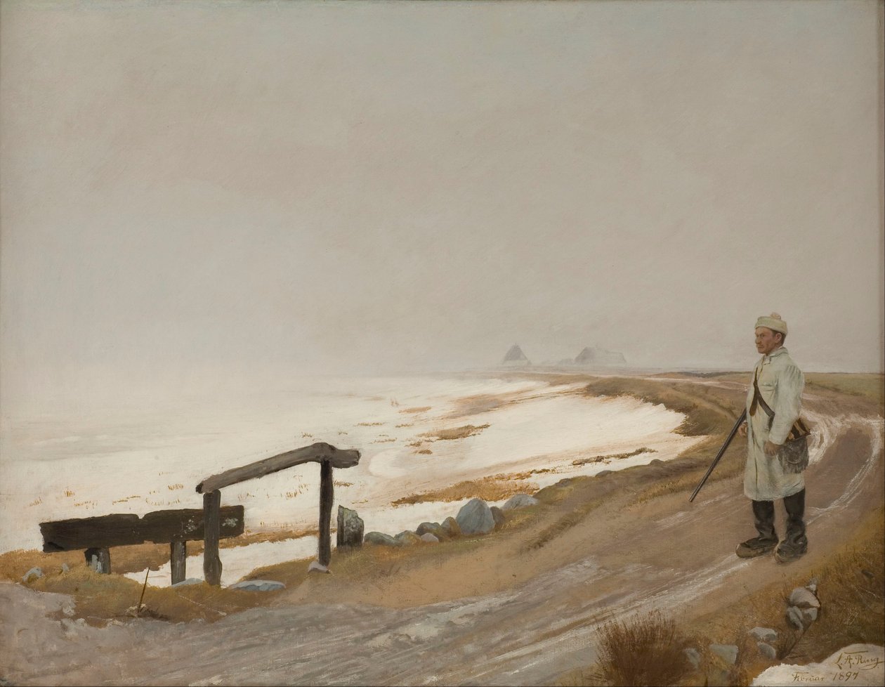 Tåget vinterdag. Karrebæksminde af Laurits Andersen Ring