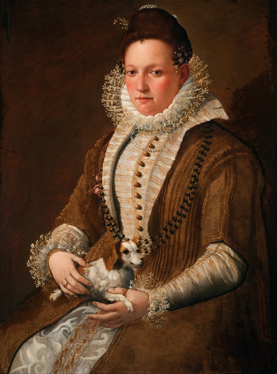 Portræt af en dame med en hund af Lavinia Fontana