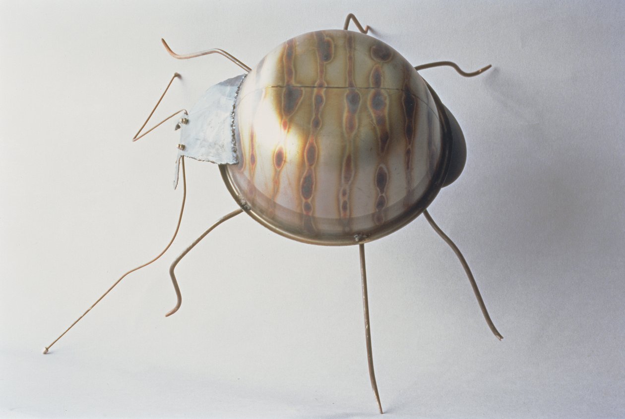 The Ground Beetle, 1995 (metal) af Lawrie Simonson