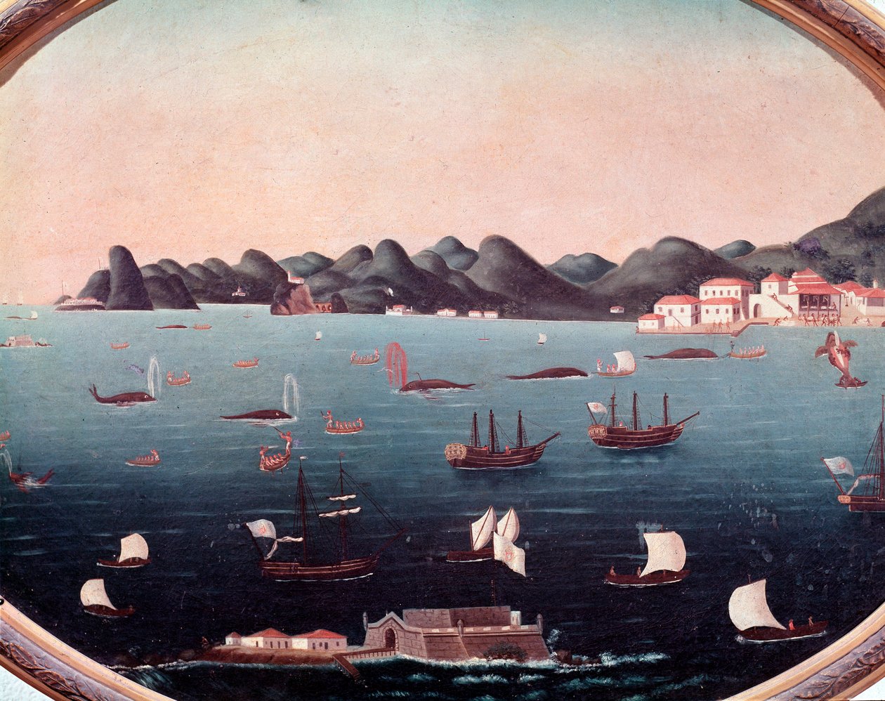 Hvalfangst i Guanabara-bugten i Brasilien Akvarel af Leandro Joaquim (1738-1798) Rio de Janeiro fra det 18. århundrede, National Historic Museum af Leandro Joachim