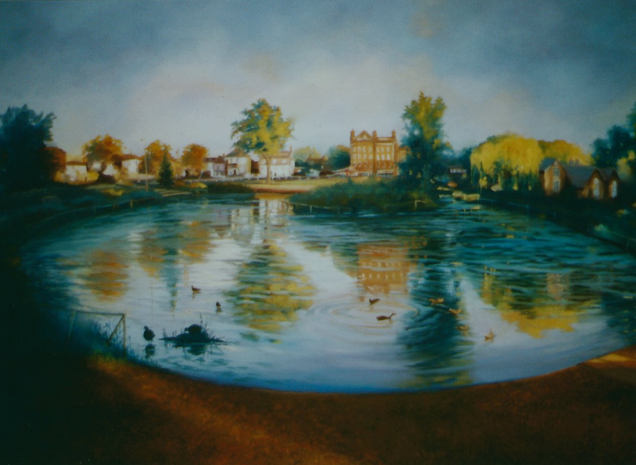 Barnes Pond, 2006 Barnes morgen af Lee Campbell