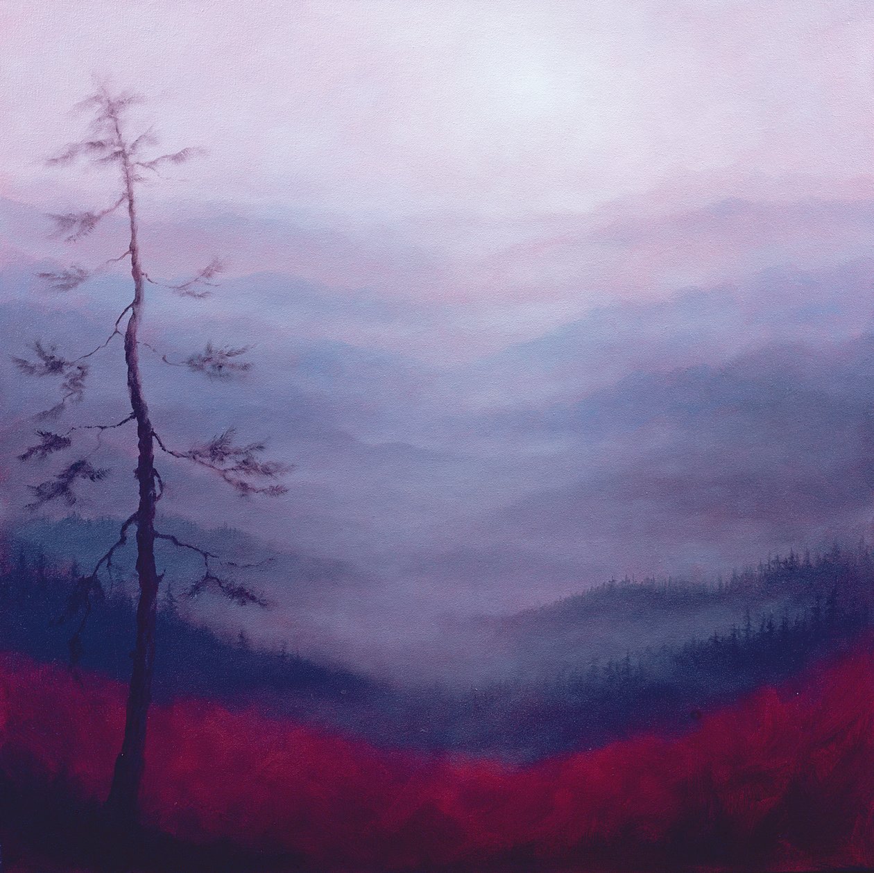 Alpine Pink, 2007 af Lee Campbell