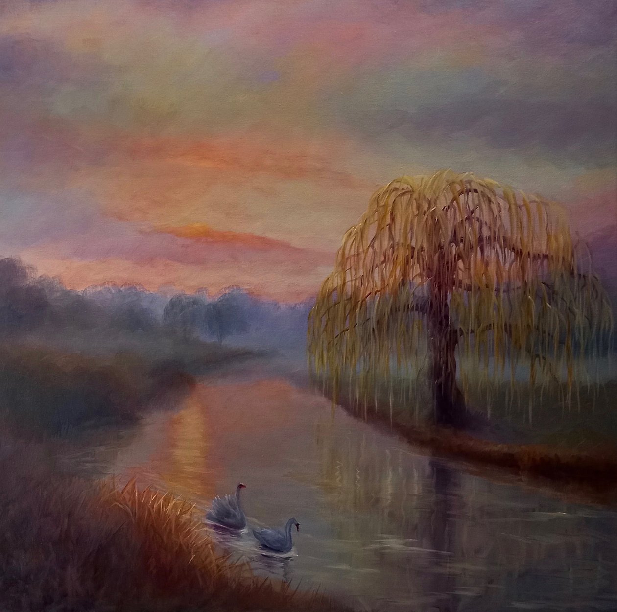 Misty Dawn, Bushy Park, 2024 af Lee Campbell