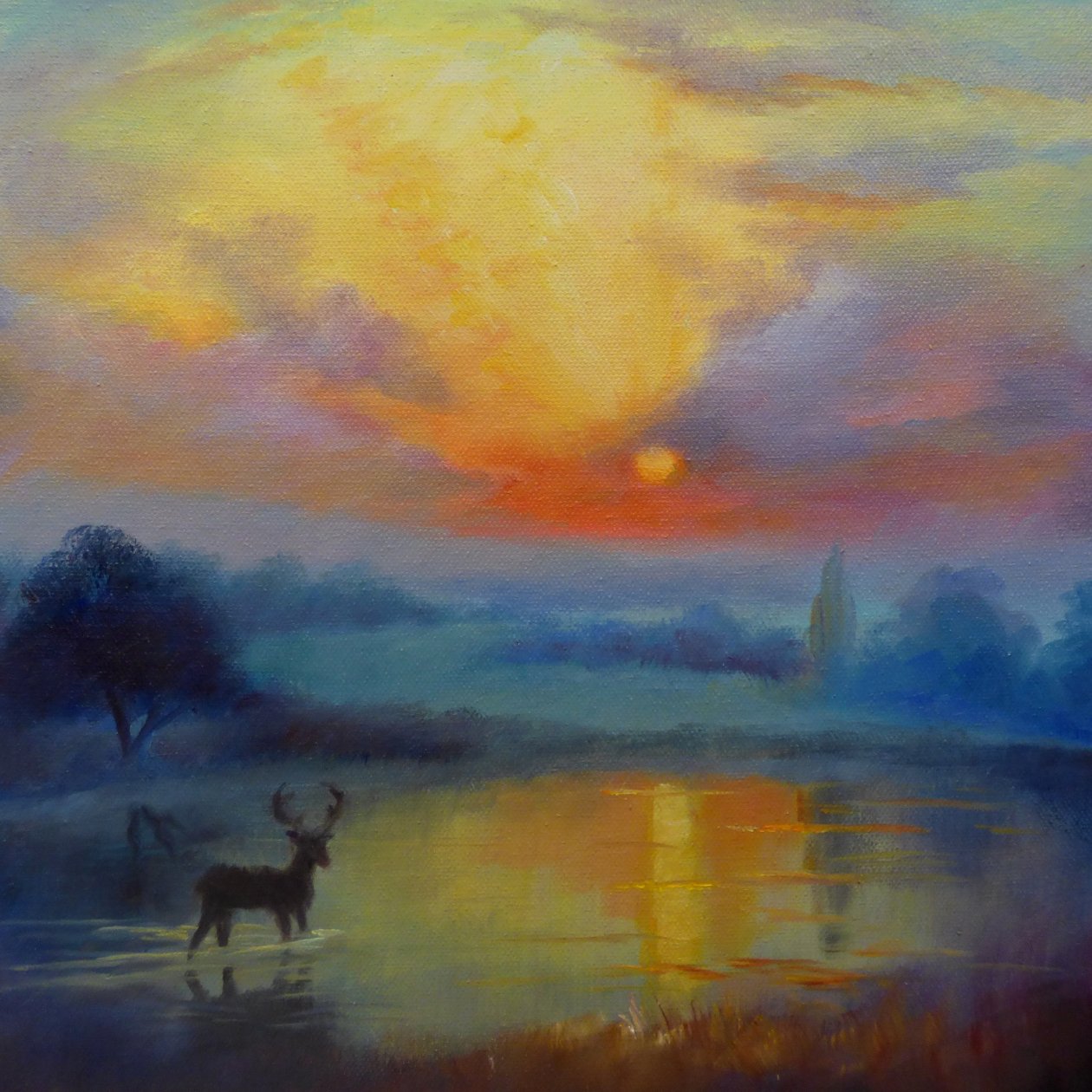 Richmond Park, 2019 af Lee Campbell
