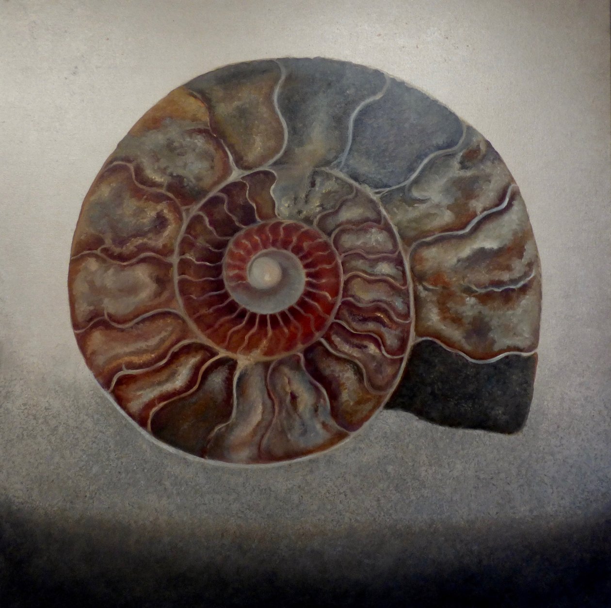 Silver Ammonite, 2024 (olie på lærred) af Lee Campbell