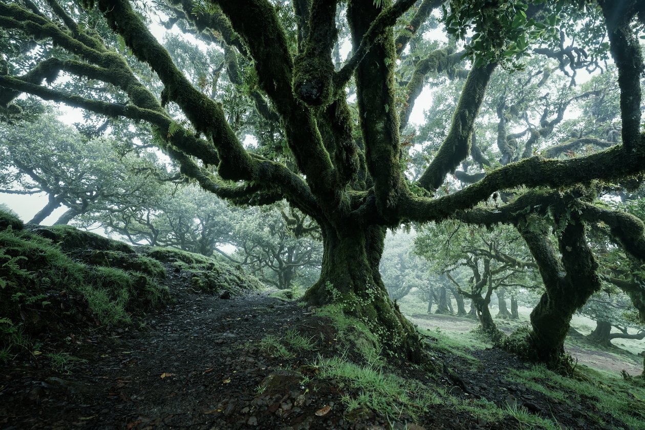 Forgotten Land II, 2025 (foto) af Lee Cooper