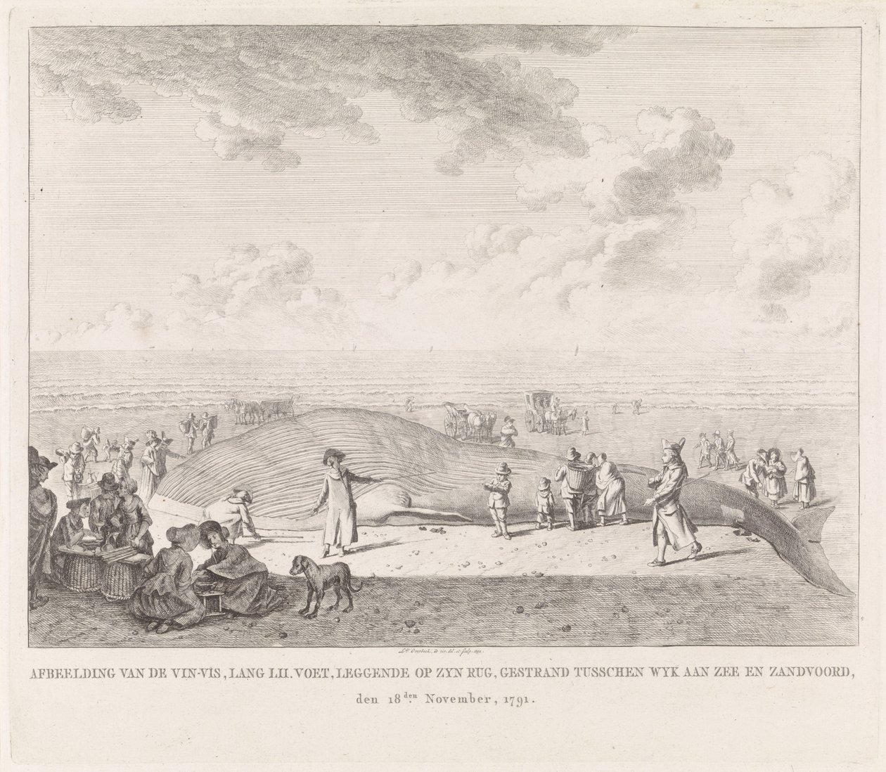 Finhval skyllede op på stranden ved Zandvoort Billede af Vin-Vis (...) strandet mellem Wyk aan Zee og Zandvoord, 18. november 1791 (titel på objekt) af Leendert Overbeek