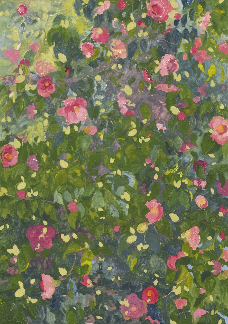 Camellia i blomst, 2014 af Leigh Glover