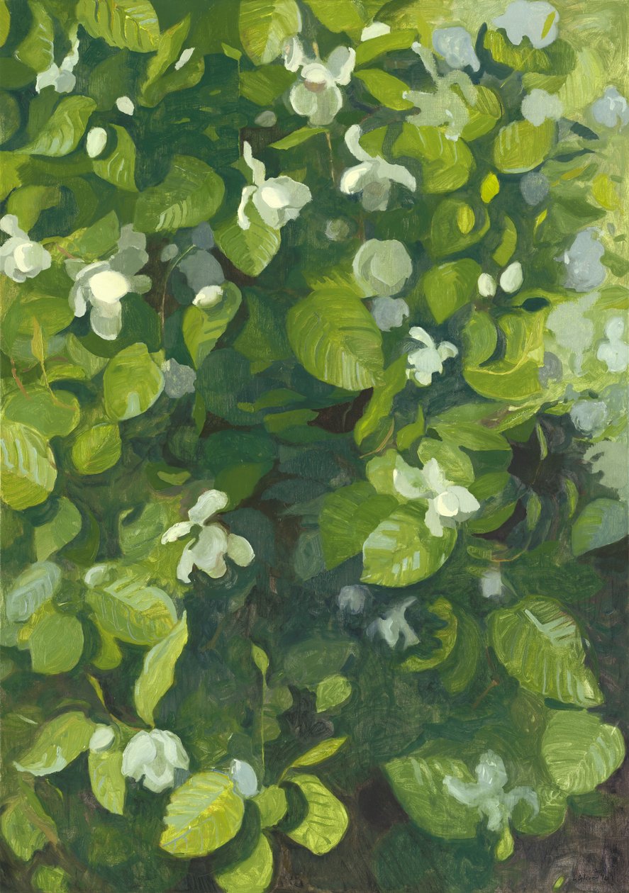 Magnolia i blomst, 2014 af Leigh Glover