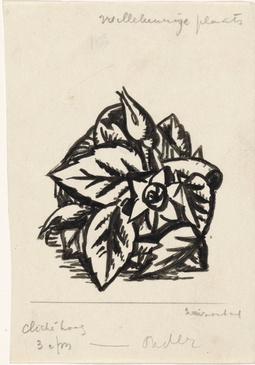 Blomster af Leo Gestel