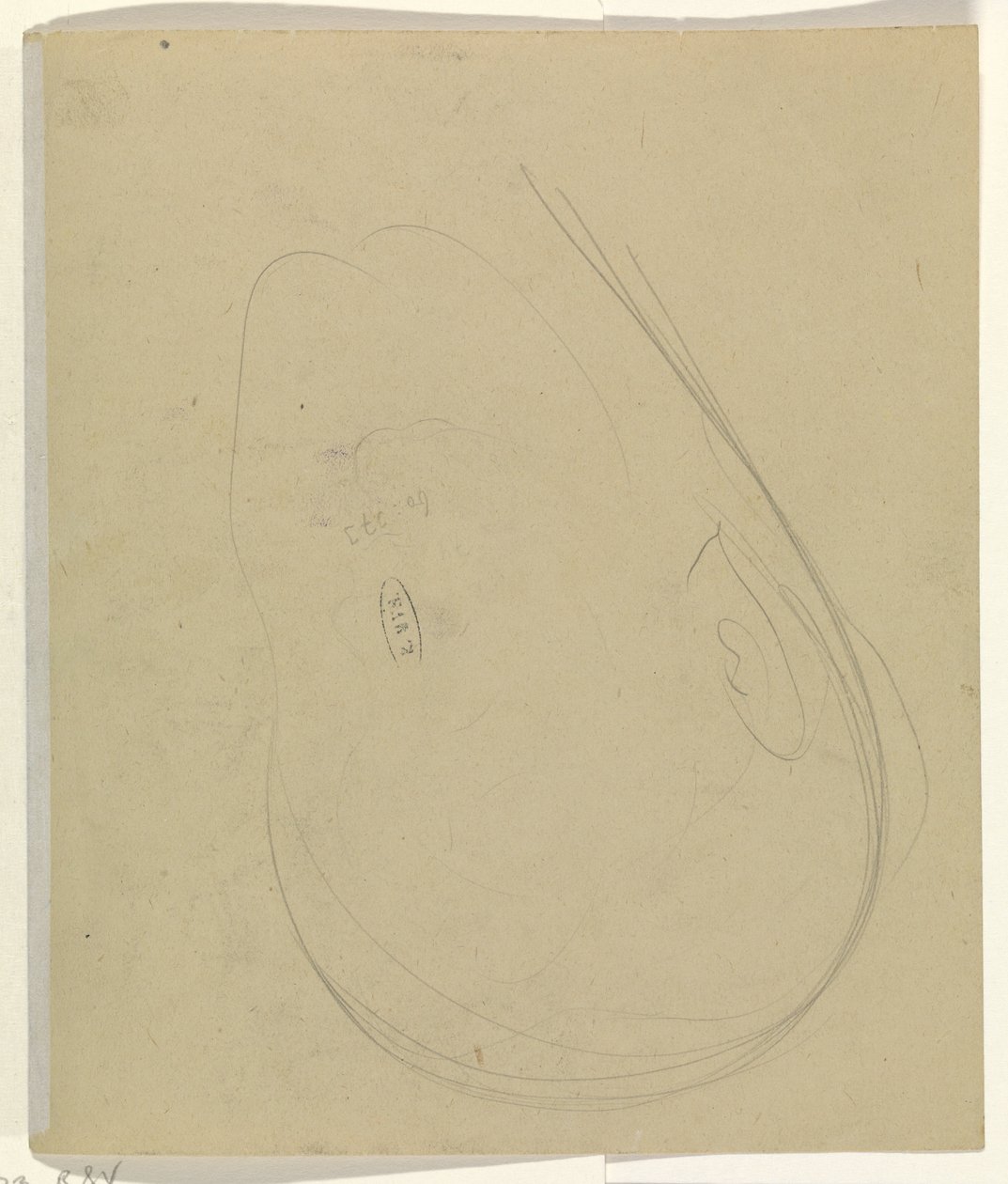 Hovedets konturer af Leo Gestel