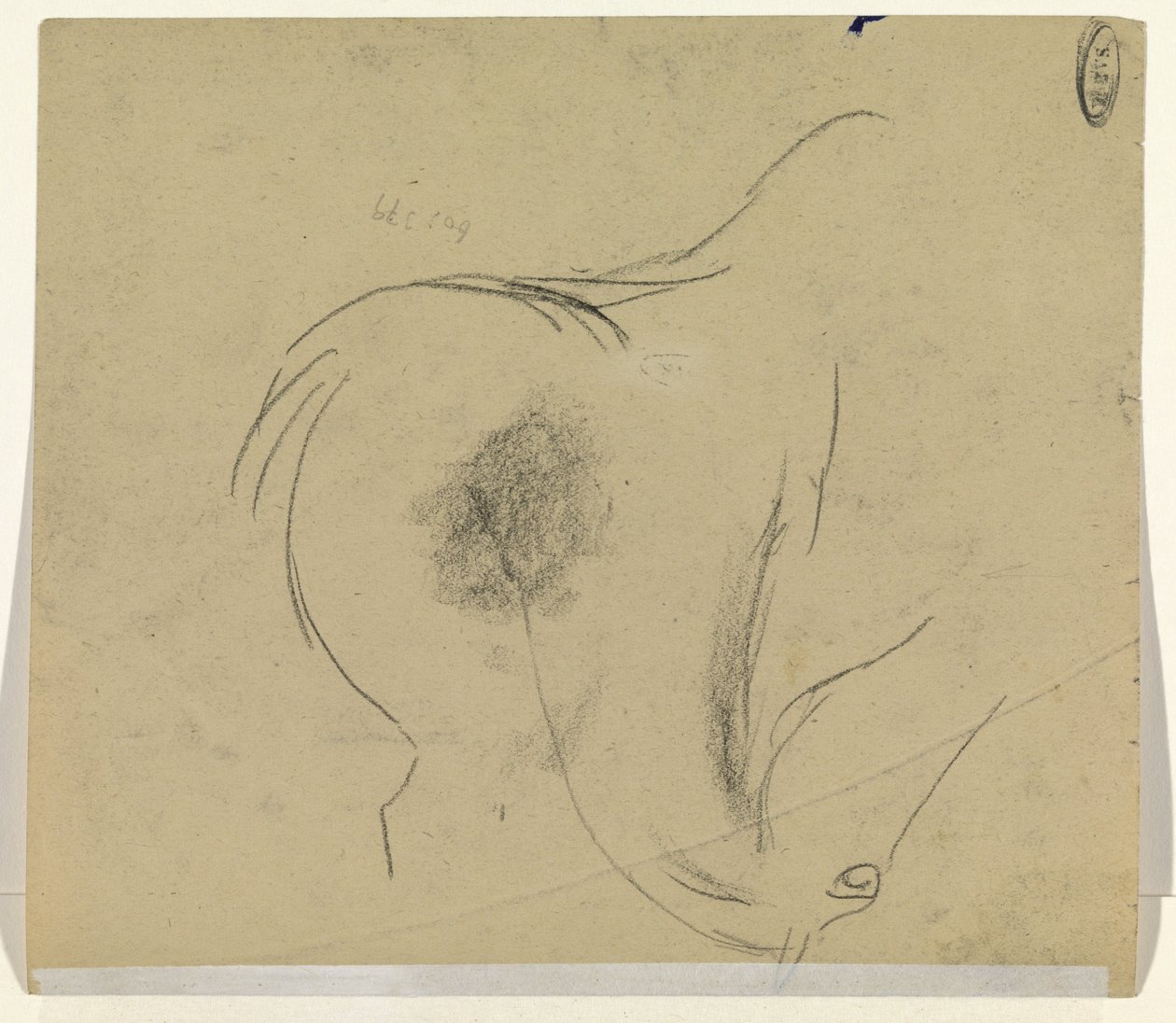 hestehoved af Leo Gestel