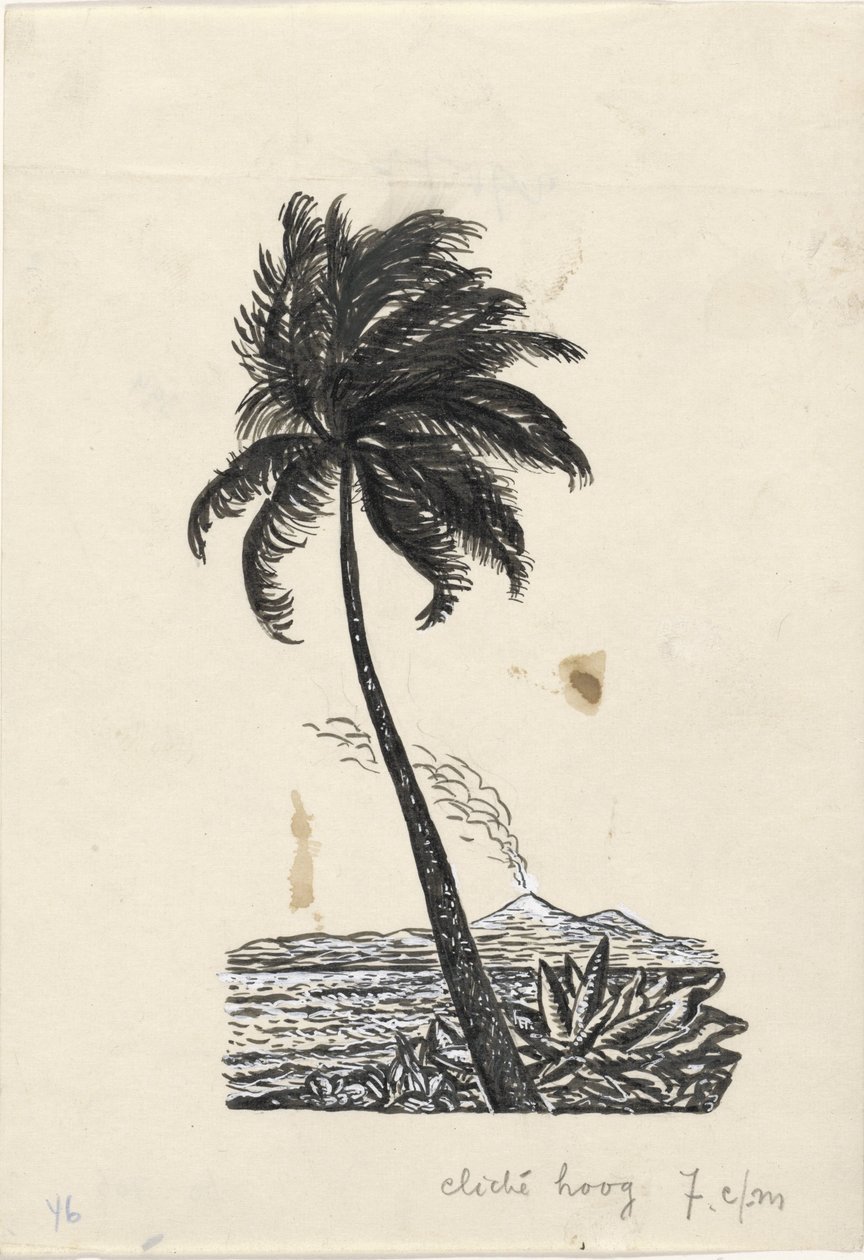 Palme med en ø med en vulkan i baggrunden af Leo Gestel