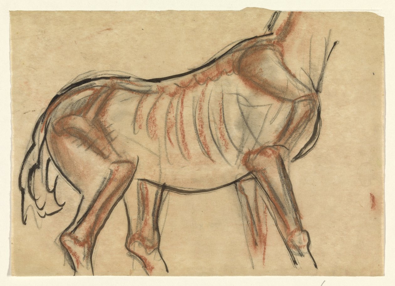 Skelet af en hest af Leo Gestel