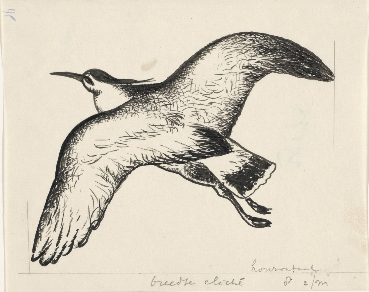 Flyvende fugl af Leo Gestel