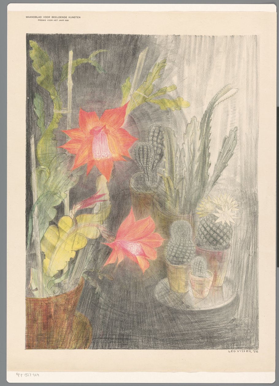 Potter med kaktusser og plante i blomst af Leo Visser