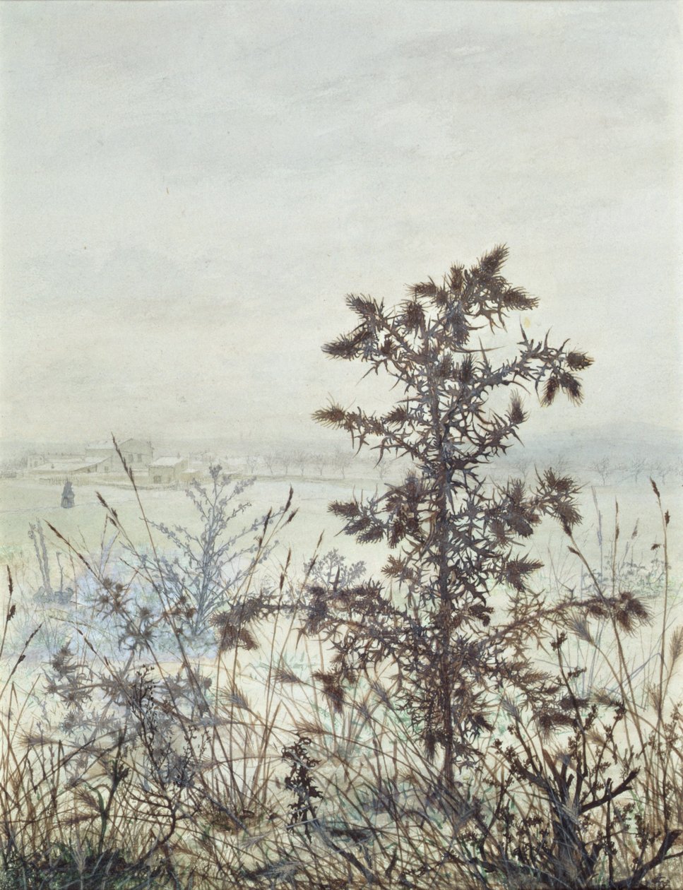 Thistles and Weeds, 1864 (wc, kropsfarve, pen og blæk og blyant på papir) af Léon Bonvin