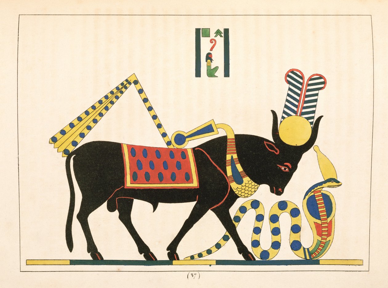 Apis-tyren, illustration fra Egyptian Pantheon: samling af mytologiske karakterer fra det gamle Egypten af ​​Jean-Francois Champollion, udgivet 1823-25 af Leon Jean Joseph Dubois