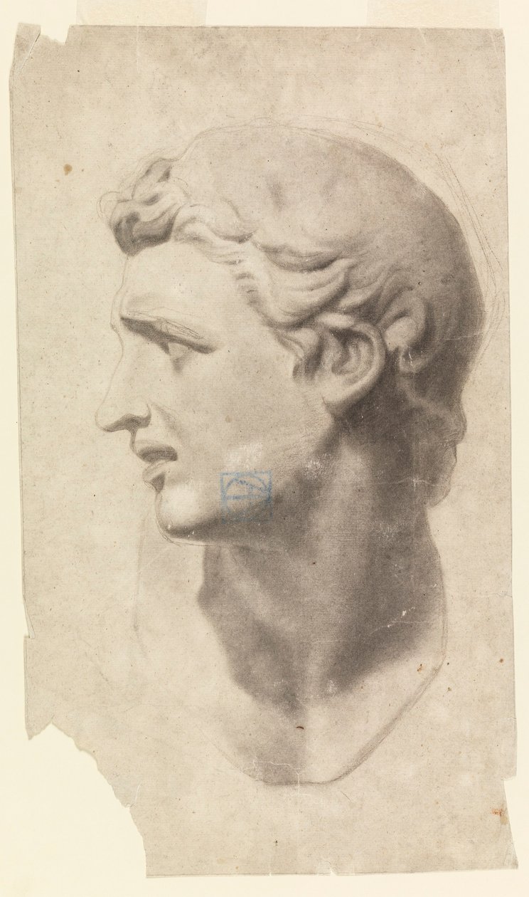 Tegning, Studie af et klassisk mandshoved (fra en gipsafstøbning), 1881-92 af Leon Dabo
