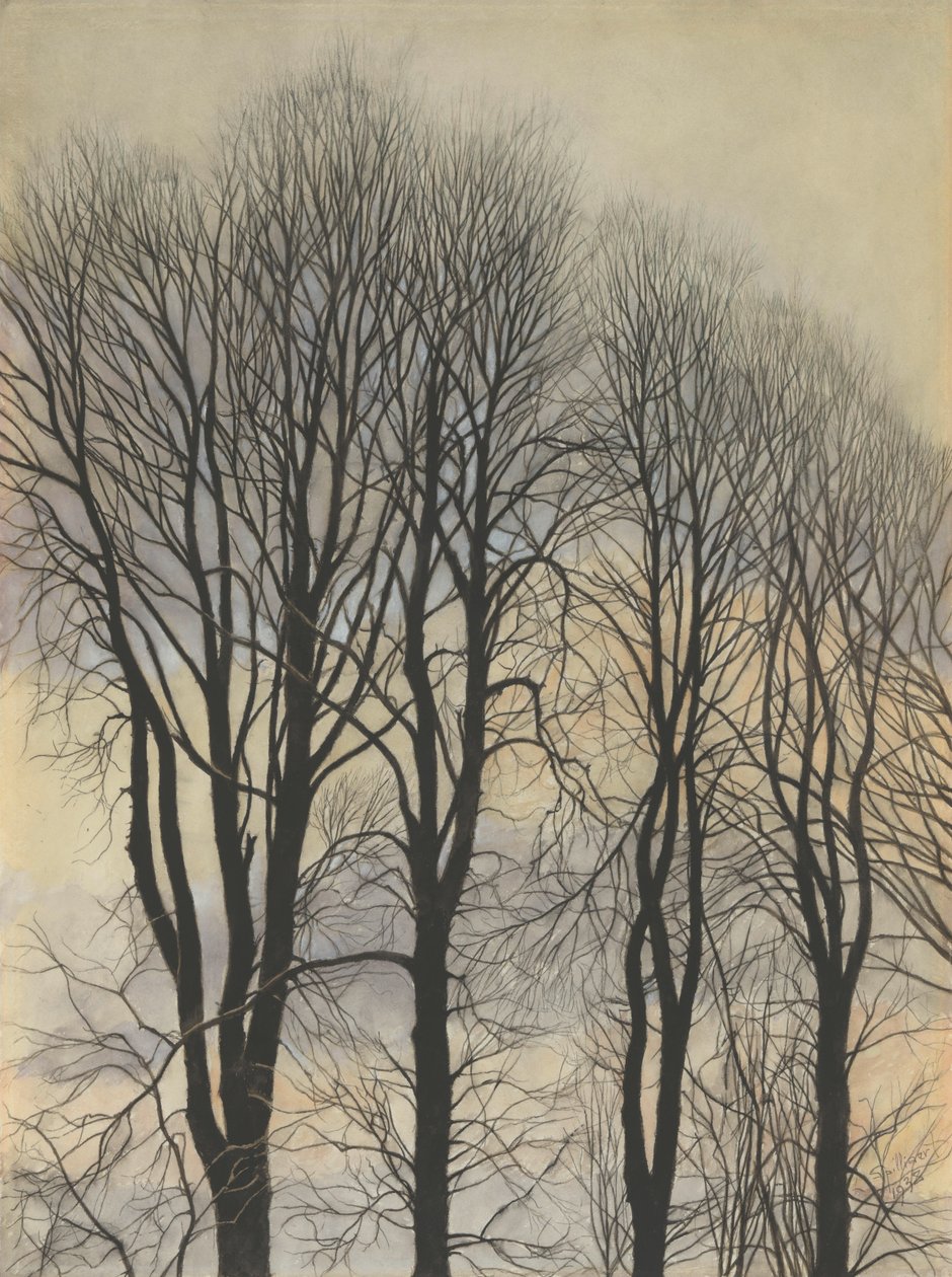 Træ i himlen af Leon Spilliaert
