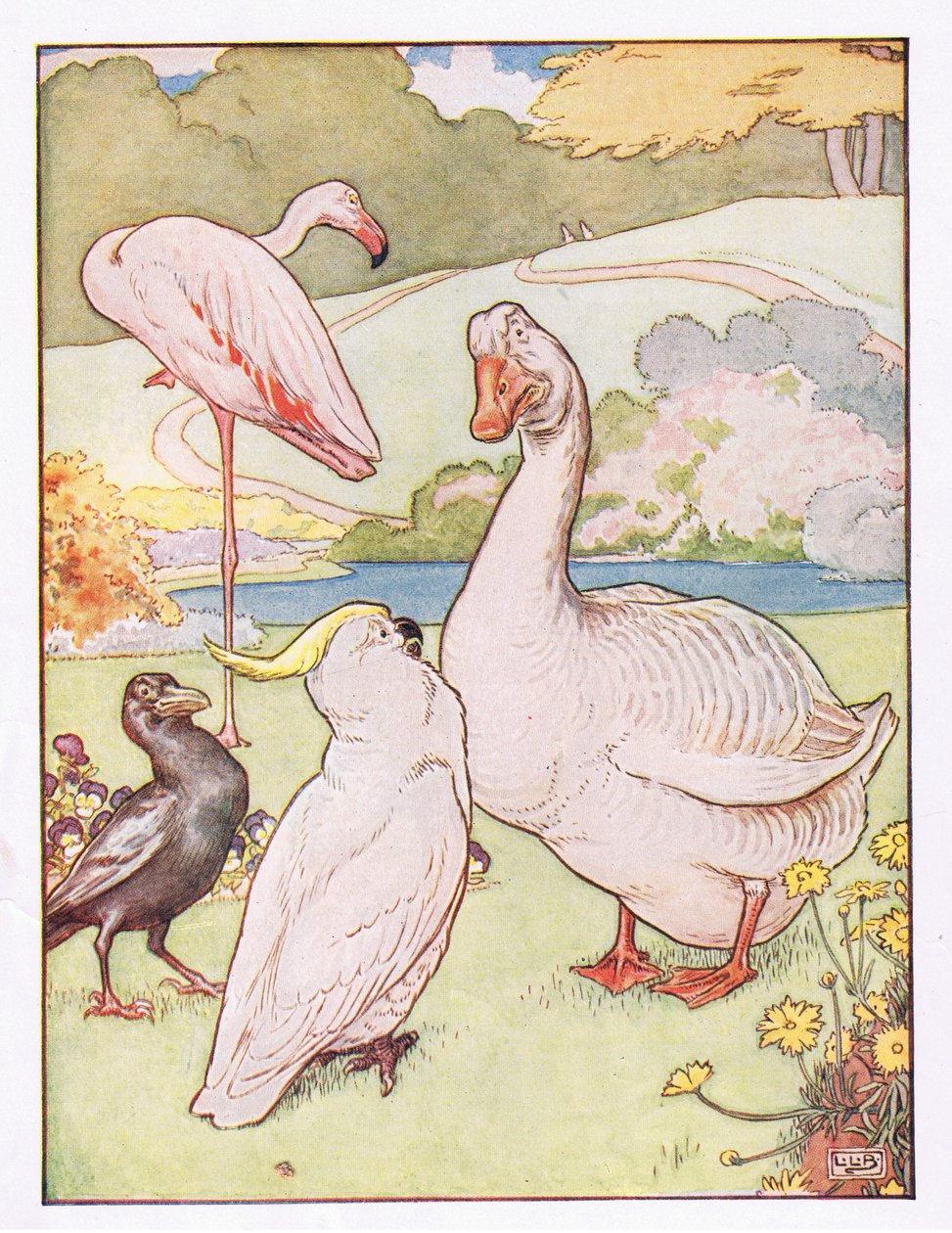 Og ganderen forstod hende ikke, illustration fra "Johnny Crow