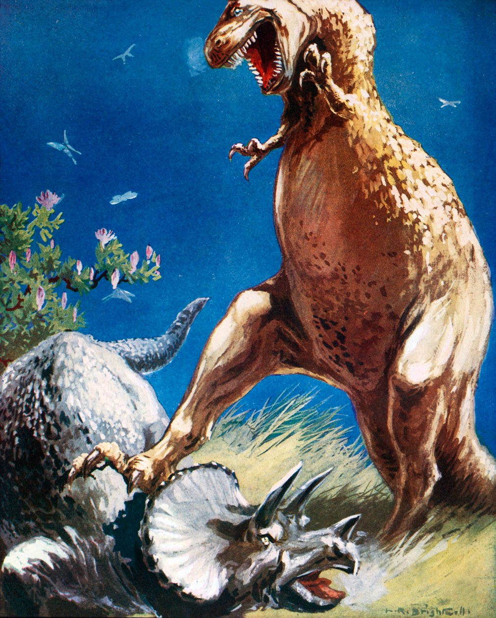  af Leonard Robert Brightwell