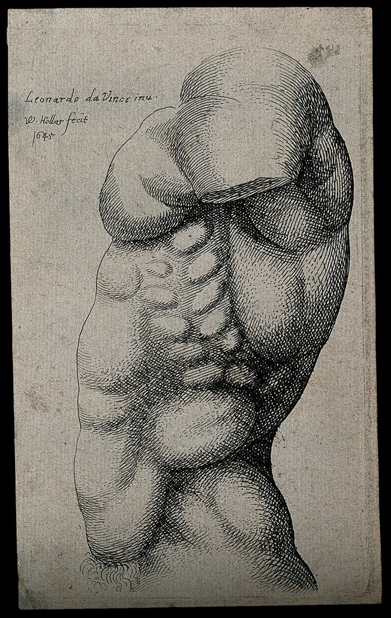 En mandlig torso uden arm af Leonardo da Vinci